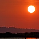 A Summer Sunset.